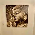 9773 Corte Lägenhet